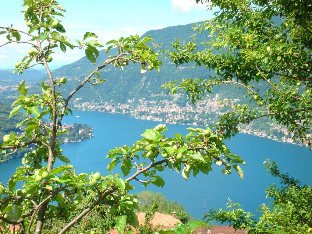 Casa Filomena Bed and Breakfast Faggeto Lario Eksteriør billede