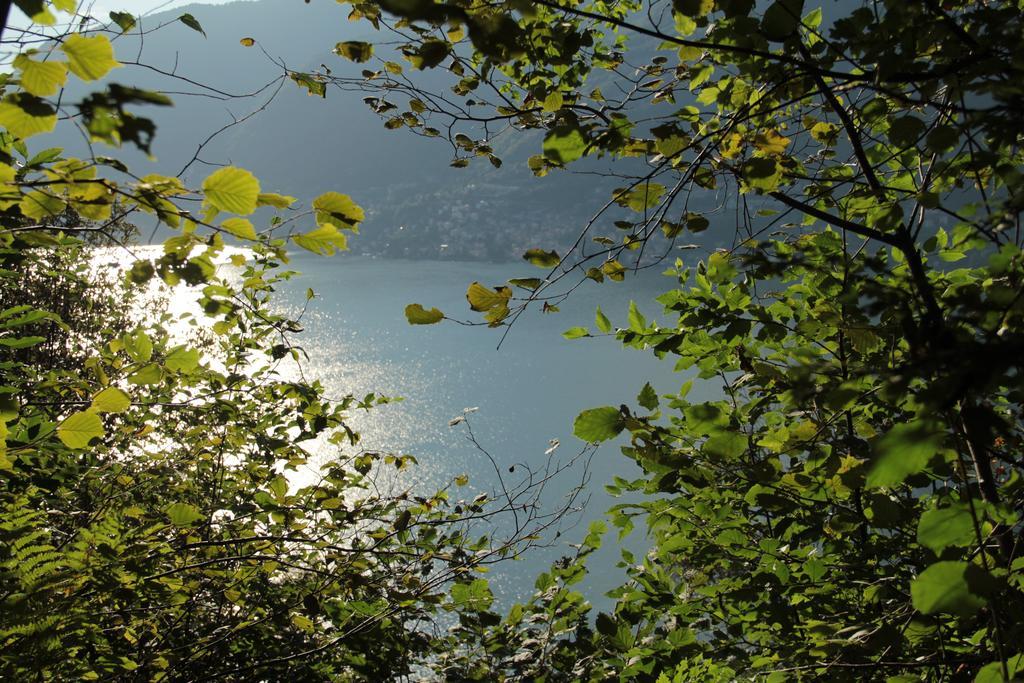 Casa Filomena Bed and Breakfast Faggeto Lario Eksteriør billede